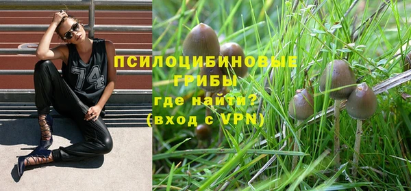 гашиш Абинск