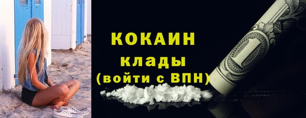 ГАЛЛЮЦИНОГЕННЫЕ ГРИБЫ Абаза