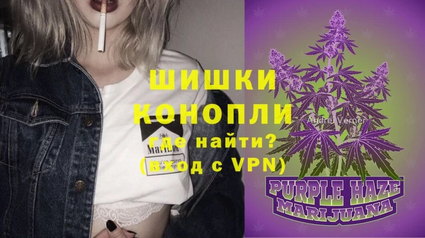ГАЛЛЮЦИНОГЕННЫЕ ГРИБЫ Абаза