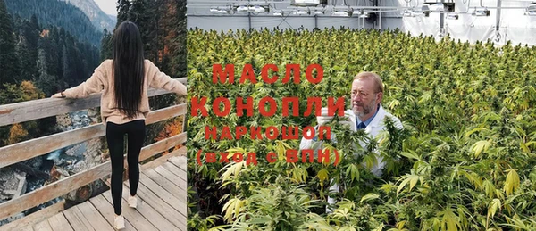 ГАЛЛЮЦИНОГЕННЫЕ ГРИБЫ Абаза