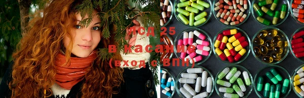 ГАЛЛЮЦИНОГЕННЫЕ ГРИБЫ Абаза