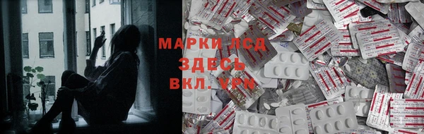 ГАЛЛЮЦИНОГЕННЫЕ ГРИБЫ Абаза