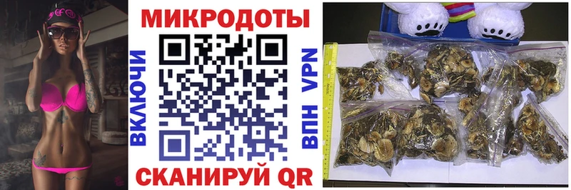 Псилоцибиновые грибы прущие грибы  Карпинск 